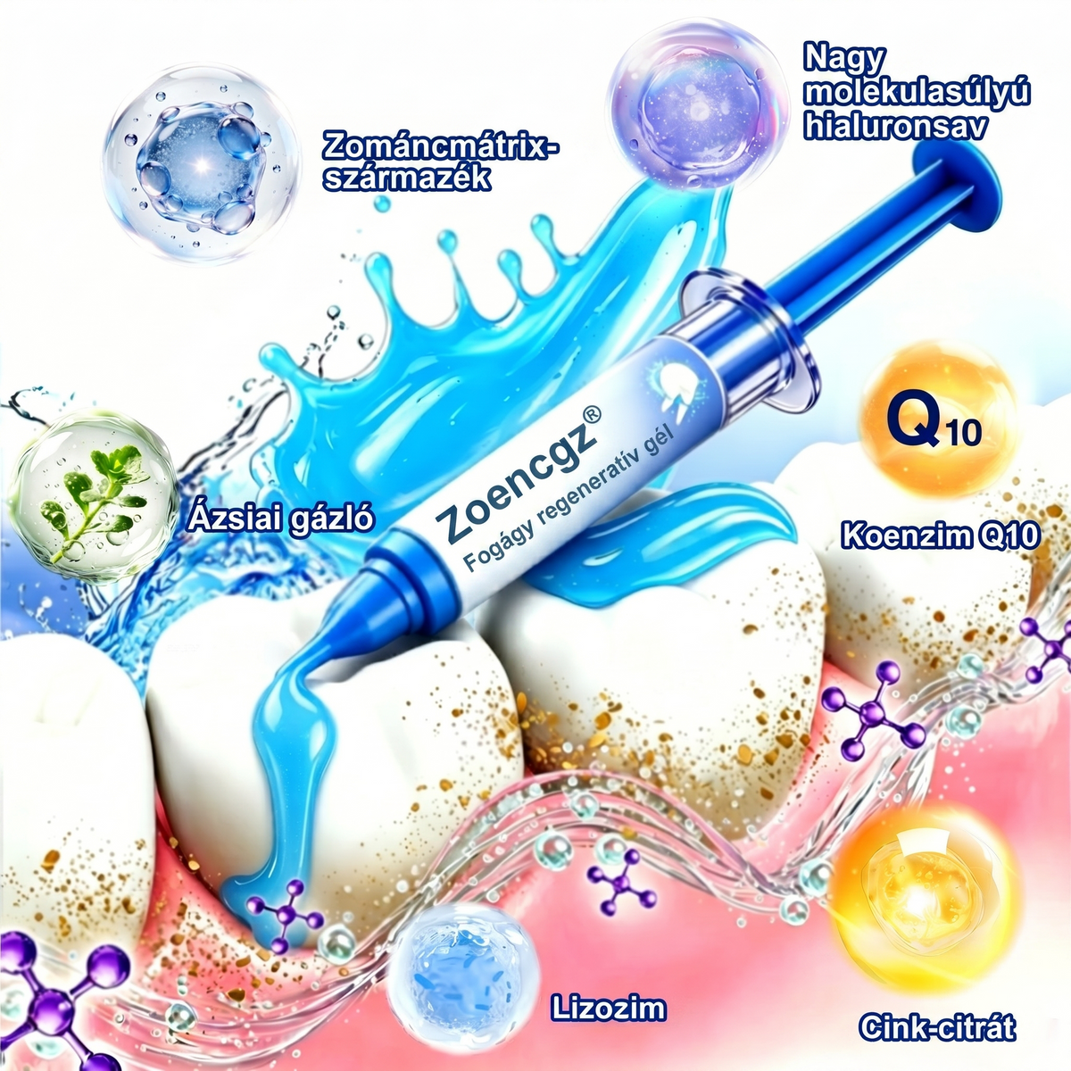 Zoencgz® 👅🍹 Antibakteriális ínyregeneráló gél | Látható eredmények már 7 nap alatt